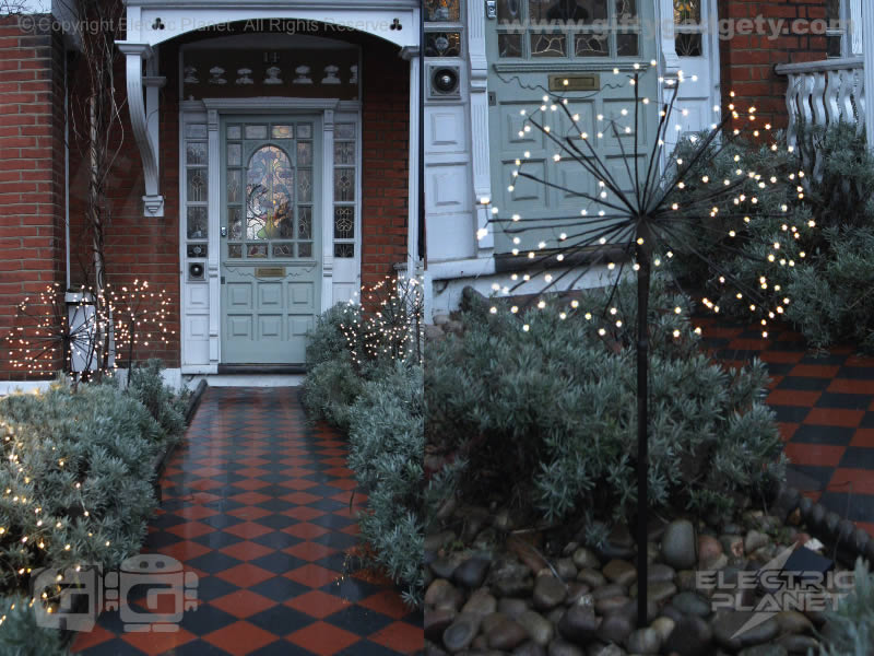 outdoor solar dandelion lights
